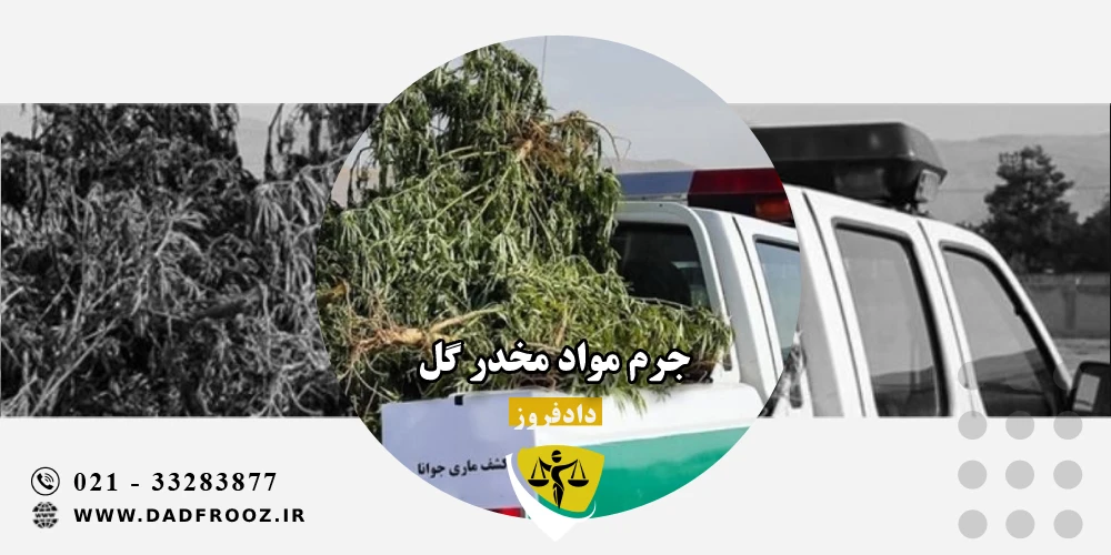 جرم مواد مخدر گل